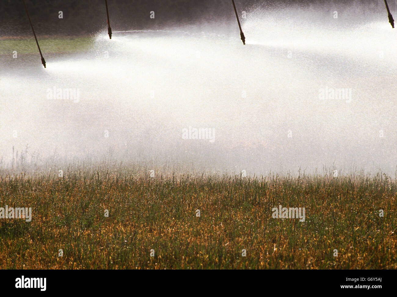 Impianti di irrigazione la spruzzatura di acqua su campi di fattoria vicino a Cortez, Colorado, STATI UNITI D'AMERICA Foto Stock