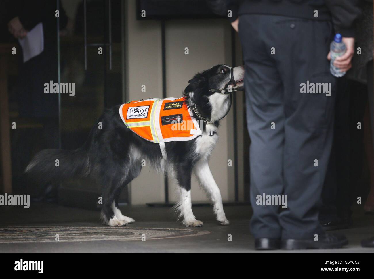 Un cane di Trossachs Search and Rescue assiste a un servizio commemorativo per le dieci persone che sono morte nel crash dell'elicottero di Clusha, presso la Cattedrale di St Andrew a Glasgow, Scozia. Foto Stock