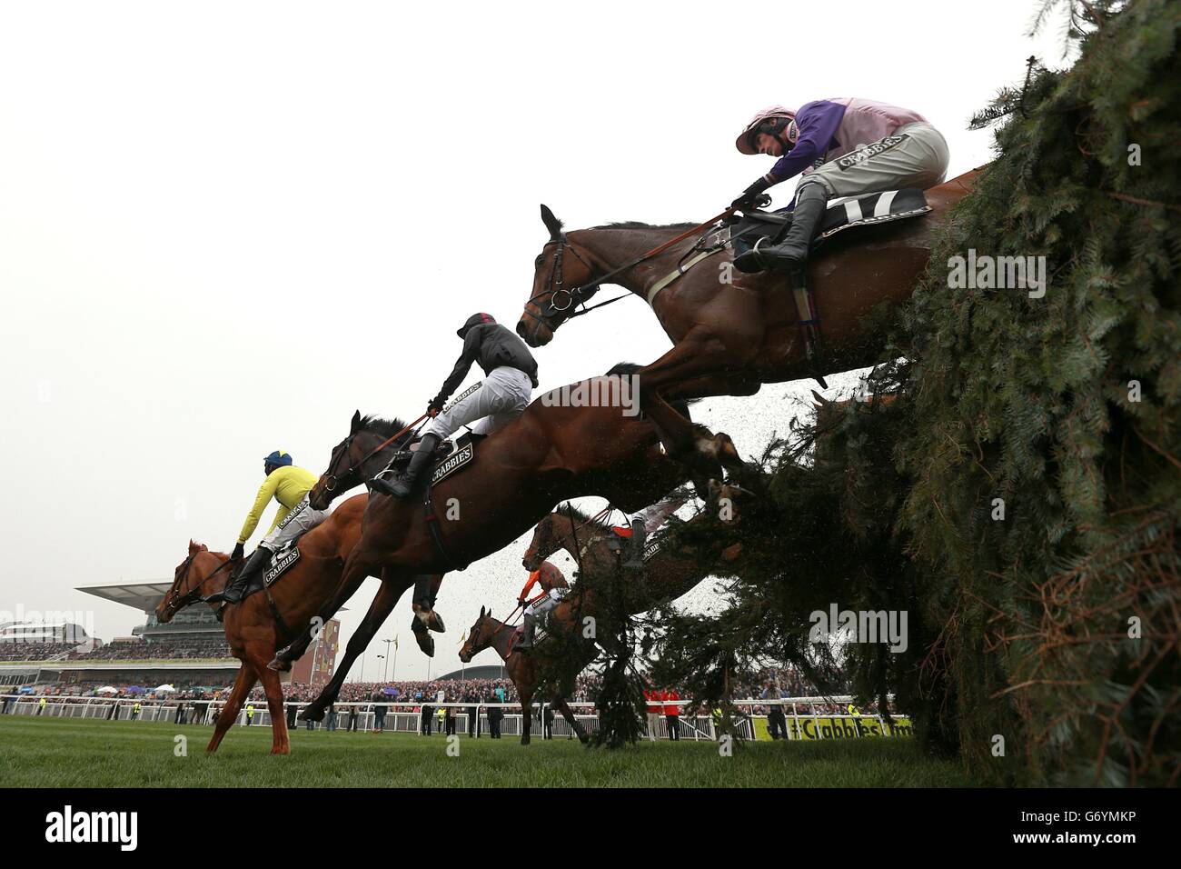 Corse di cavalli - Il Crabbie il Grand National 2014 - Giorno di inaugurazione - L'Aintree Racecourse Foto Stock