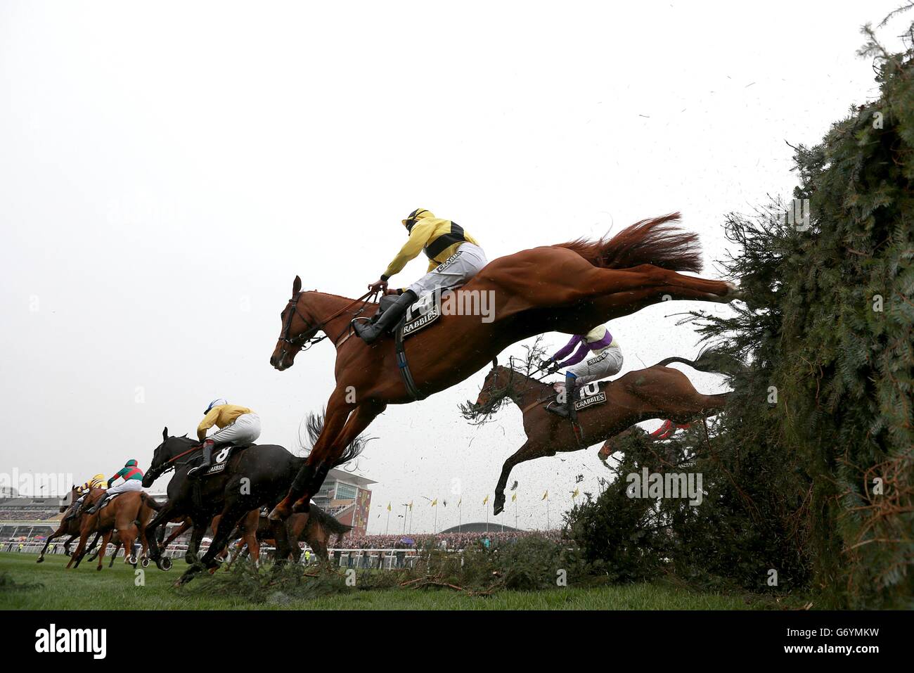 Corse di cavalli - Il Crabbie il Grand National 2014 - Giorno di inaugurazione - L'Aintree Racecourse Foto Stock