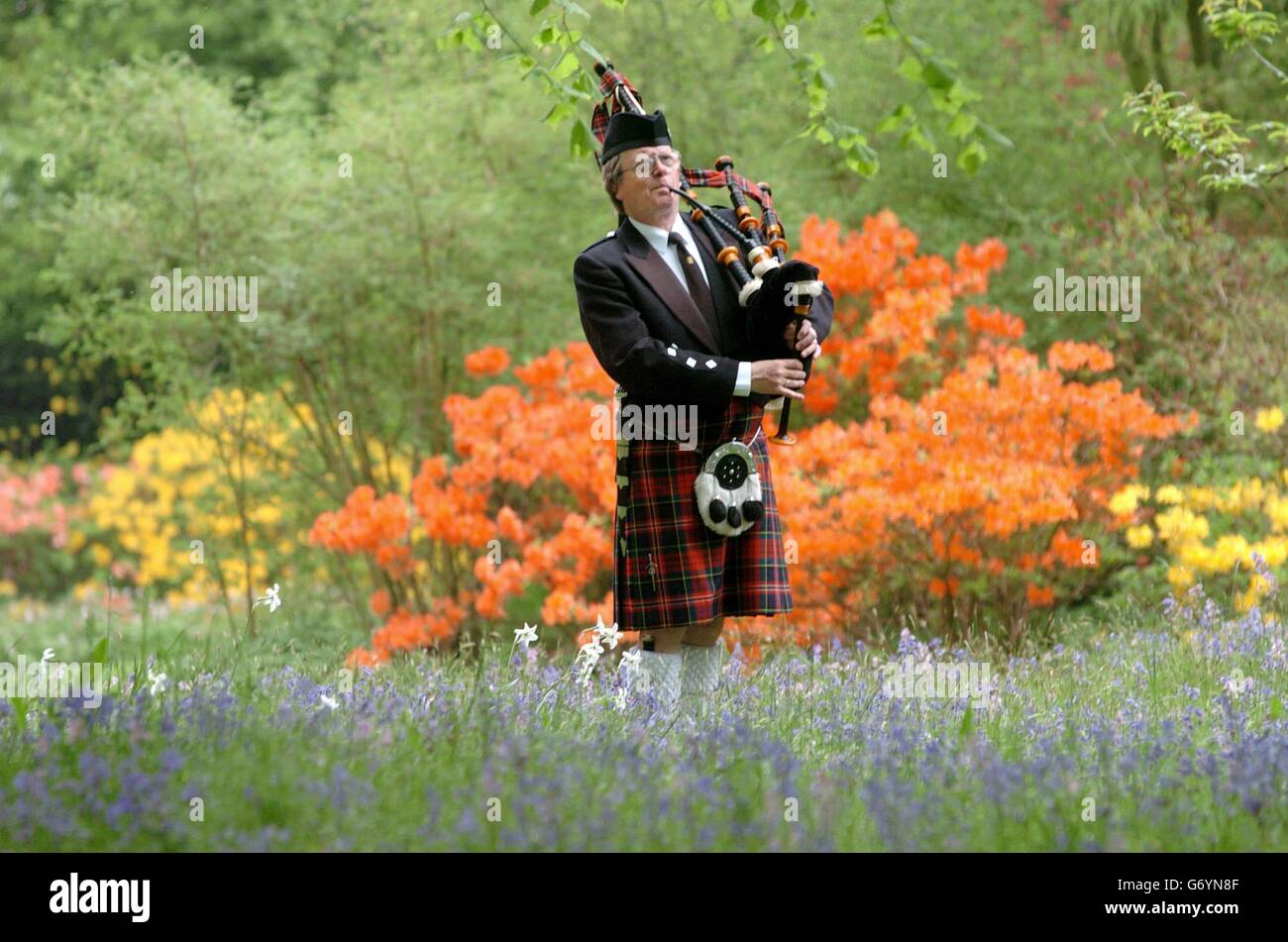 Barry McQueen - Piper Foto Stock