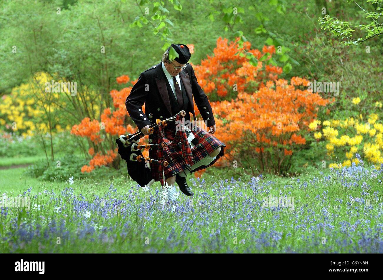 Barry McQueen - Piper Foto Stock
