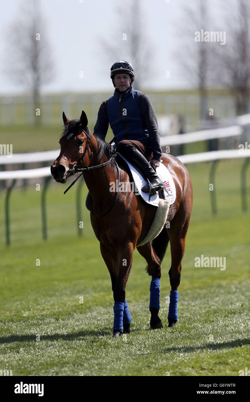 Horse Racing - 2014 Craven incontro - Giorno Uno - Newmarket Racecourse Foto Stock