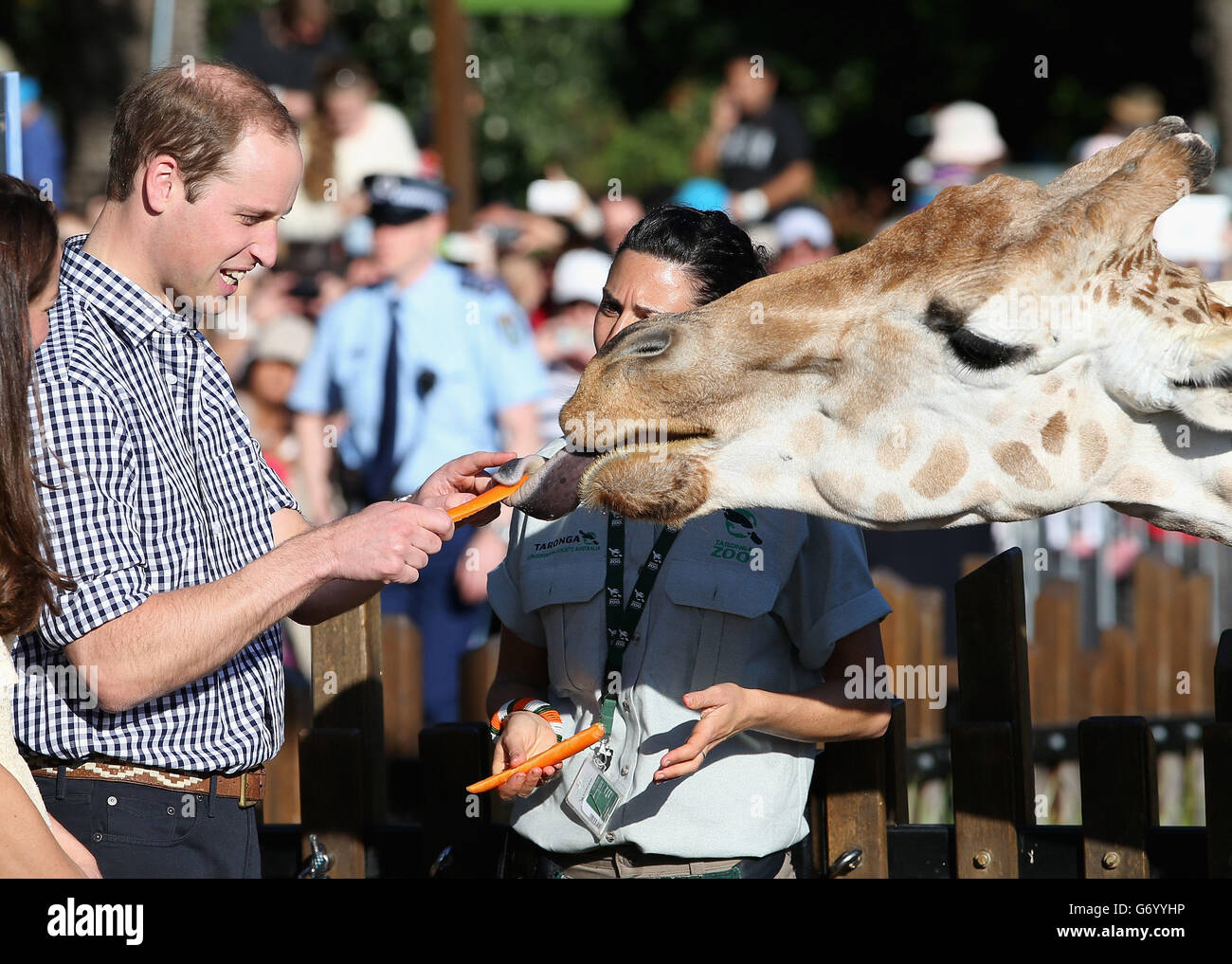 Il Duca e la Duchessa di Cambridge nutrono giraffe allo Zoo di Taronga a Sydney, Australia, il Duca e la Duchessa di Cambridge, in un tour di tre settimane in Australia e Nuova Zelanda. Foto Stock