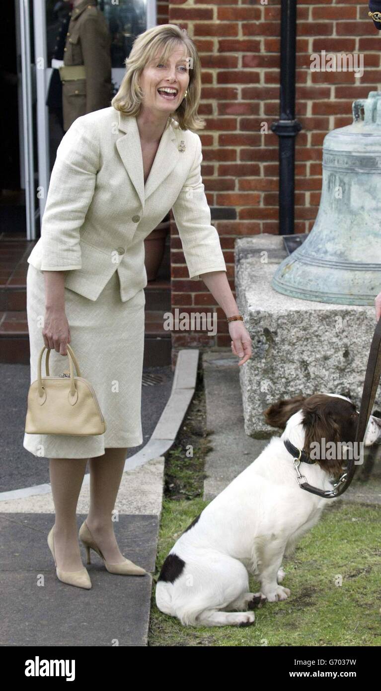 La Sophie britannica, contessa di Wessex, incontra Buster il cane al recentemente ristrutturato Museo dei servizi medici dell'Esercito a Keogh Barracks in Surrey. Era il primo impegno solista delle contesse dal ritorno dal congedo di maternità. Foto Stock