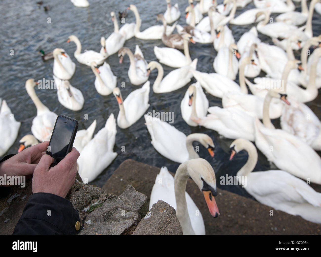 Viste di Windsor - Berkshire Foto Stock