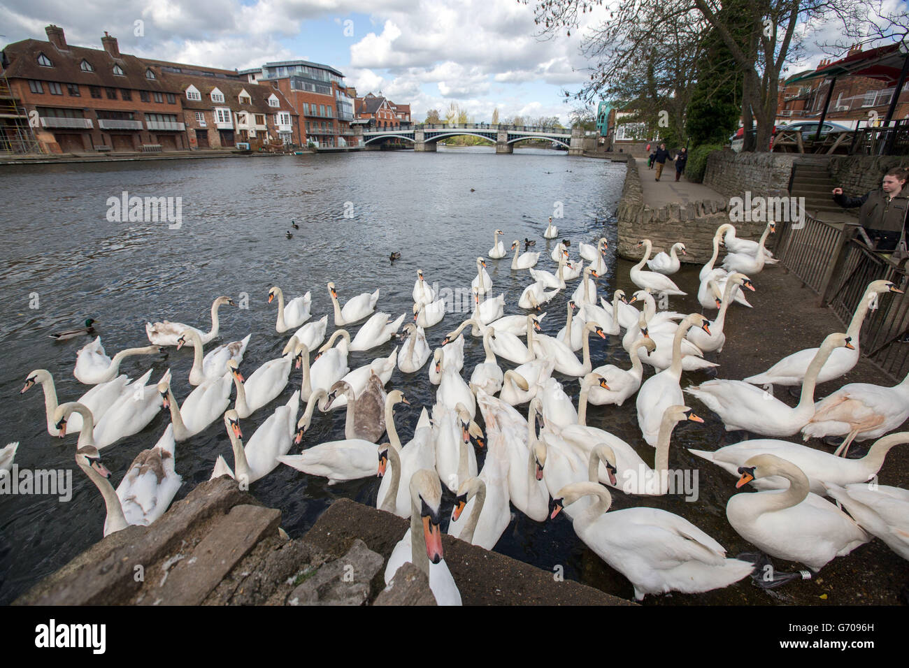 Viste di Windsor - Berkshire Foto Stock
