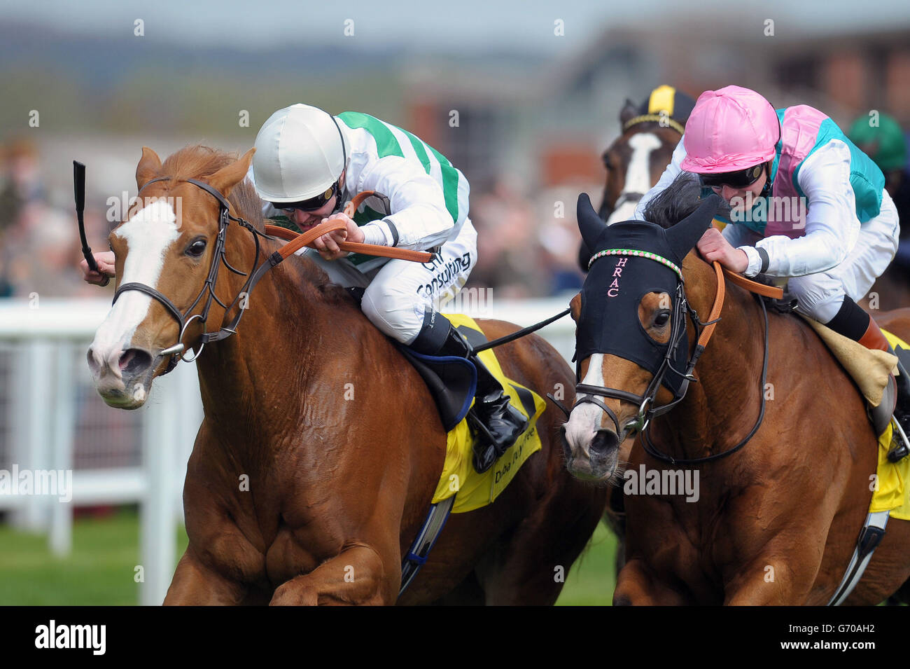 Horse Racing - Dubai Duty Free giorno del fine settimana due - Newbury Foto Stock