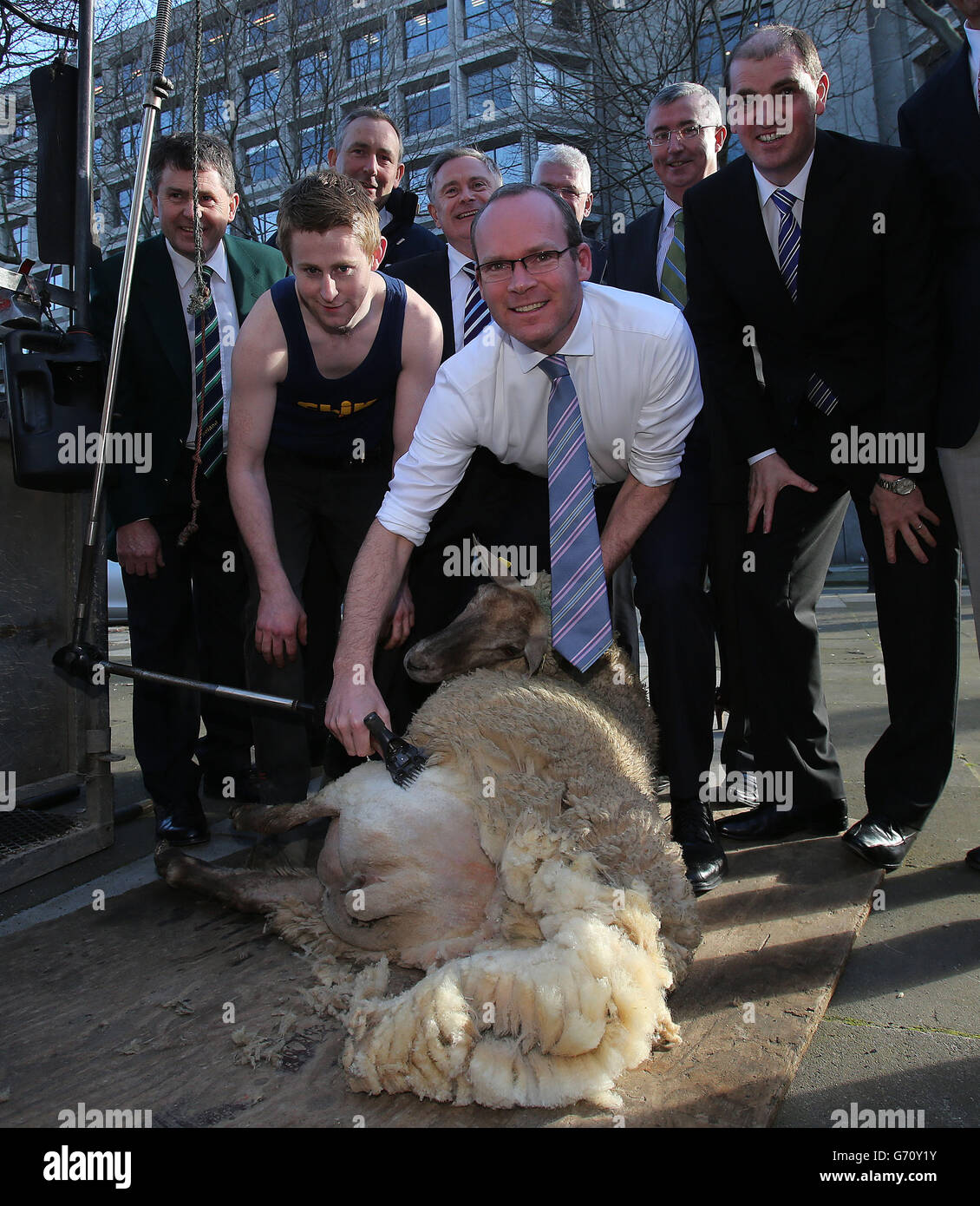 Ministro per l'agricoltura, l'alimentazione e la marina Simon Coveney cesoia al lancio del 16 ° mondo Sheep Shearing &amp; Wool Handling Championships a Kildare Street Dublino. Foto Stock
