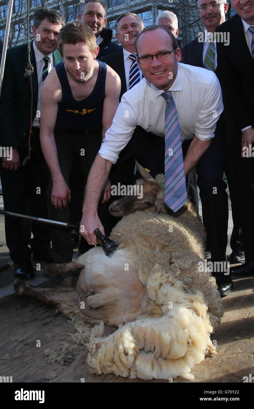 Ministro per l'agricoltura, l'alimentazione e la marina Simon Coveney cesoia al lancio del 16 ° Mondiale Sheep Shearing & Wool Handling Championships a Kildare Street Dublino. Foto Stock