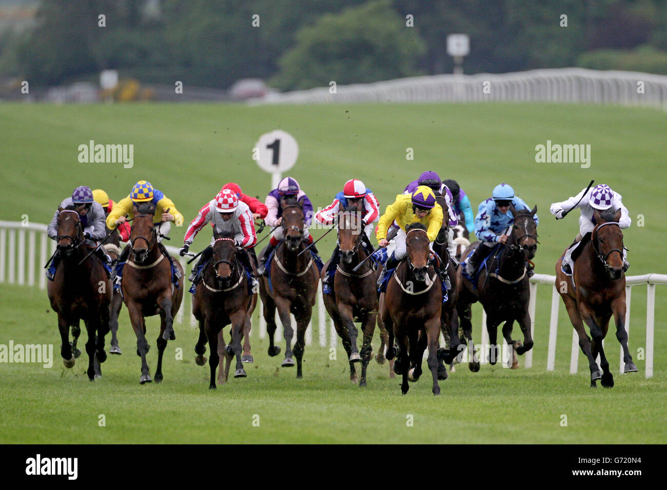 Seas of Wells (terza a destra) guidato da Declan McDonogh vince le Congratulazioni Karoline & Neil Wright sul vostro matrimonio oggi Maiden durante Newbridge Parishes Family Race Day all'Ippodromo di Curragh, County Kildare, Irlanda. Foto Stock