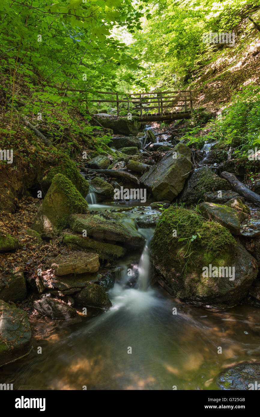 Ponte su Heslacher Wasserfälle, Heidenklinge Valley, Heslach, Stoccarda, Baden-Württemberg Foto Stock