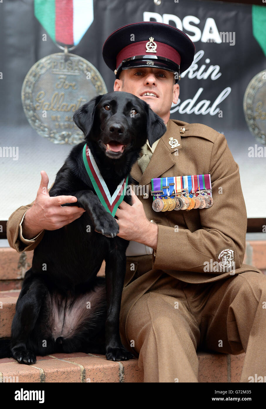 Postumi di PDSA Dickin Medal per cane dell'esercito Foto Stock