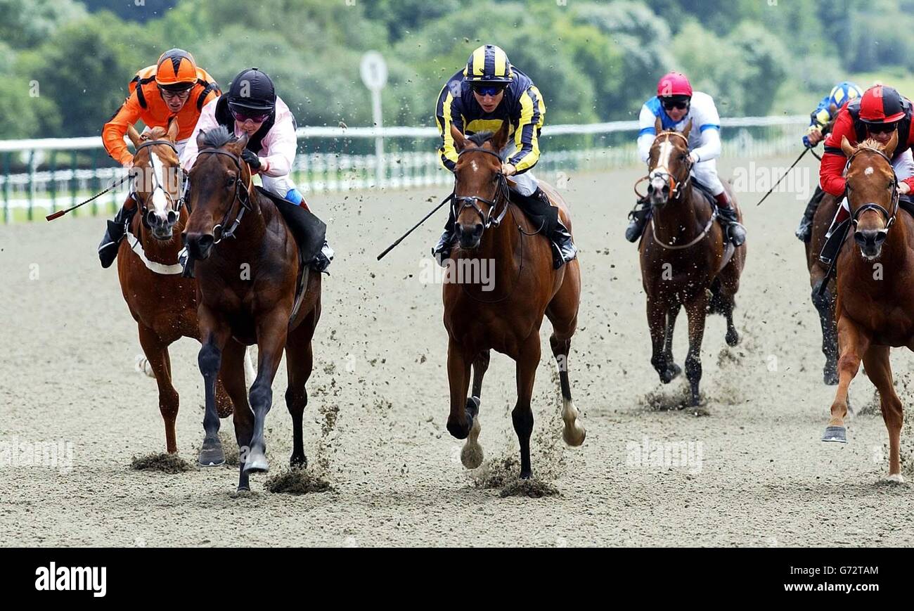 Azione dal 2.10 al Lingfield Park, le puntate d'asta di fruste e Tees maiden. Secondo da sinistra (con il cappello nero) è il vincitore russo Rocket, guidato da Hayley Turner. Il secondo cavallo posto, connotazione (terzo da sinistra con le strisce) è cavalcato da Eddie Ahern. Foto Stock