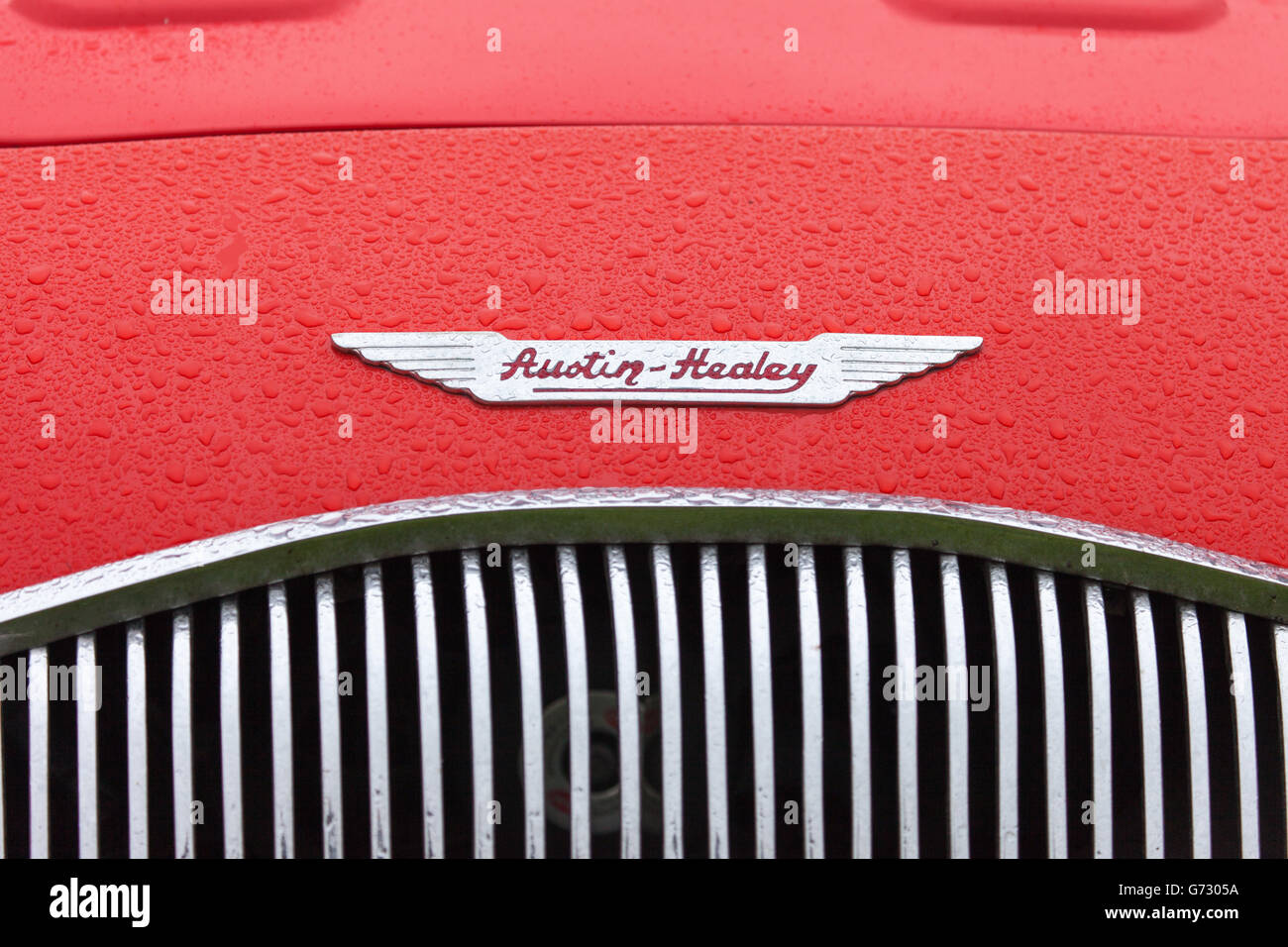 La parte anteriore di una Austin Healey Auto sportiva Foto Stock