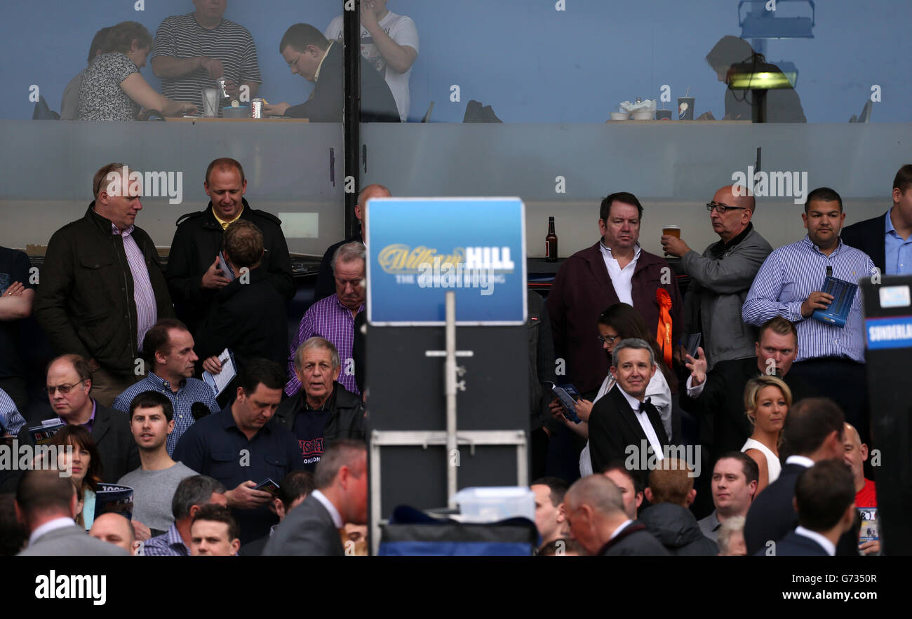 Il Greyhound Racing - William Hill Derby - finale - Wimbledon Stadium Foto Stock