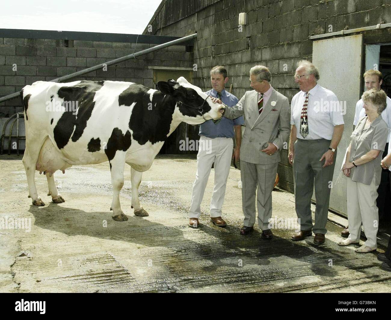 Il Principe di Galles incontra Lindy, una mucca mungente alla Trebersed Farm vicino a Carmarthen, durante la sua annuale visita estiva di tre giorni in Galles. Mentre in fattoria, il principe è stato mostrato il South Wales e West Wales Machinery Ring - un'amalgamazione di agricoltori che raggruppano le loro risorse per condividere costose attrezzature, manodopera e risorse. Foto Stock