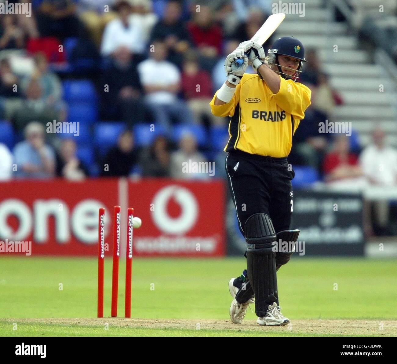 CRICKET Glamorgan 6 Foto Stock