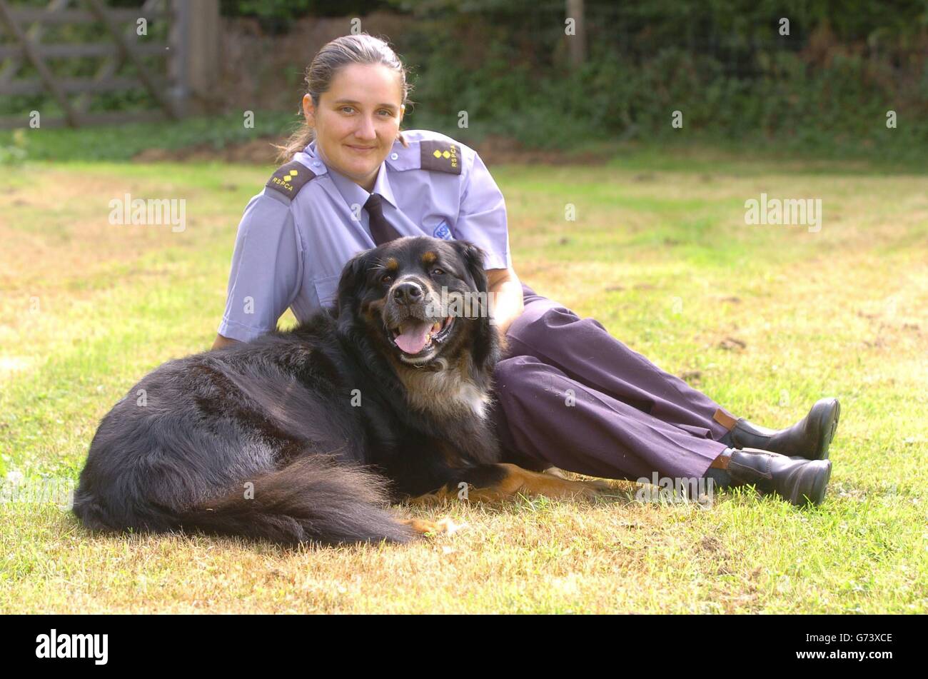 JD, un cane di montagna Bernese, con l'ispettore RSPCA Charlotte Baumann da Tunbridge Wells, che ha salvato il cane emaciato da una casa. Il RSPCA chiede leggi più severe per proteggere gli animali domestici dopo che ha rilasciato nuove statistiche che descrivono il lavoro dell'ente benefico nell'ultimo anno per affrontare la sofferenza degli animali in Inghilterra e Galles. Per la prima volta i dati includevano dettagli sulle visite giornaliere degli ispettori RSPCA, nonché il numero di procedimenti giudiziari effettuati dall'organizzazione. Foto Stock