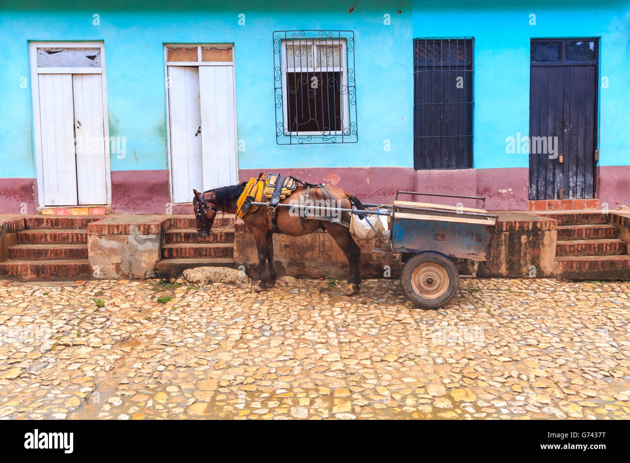 Il cavallo e la spesa in una tipica strada di ciottoli di colonial Trinidad, Cuba, un sito Patrimonio Mondiale dell'UNESCO Foto Stock