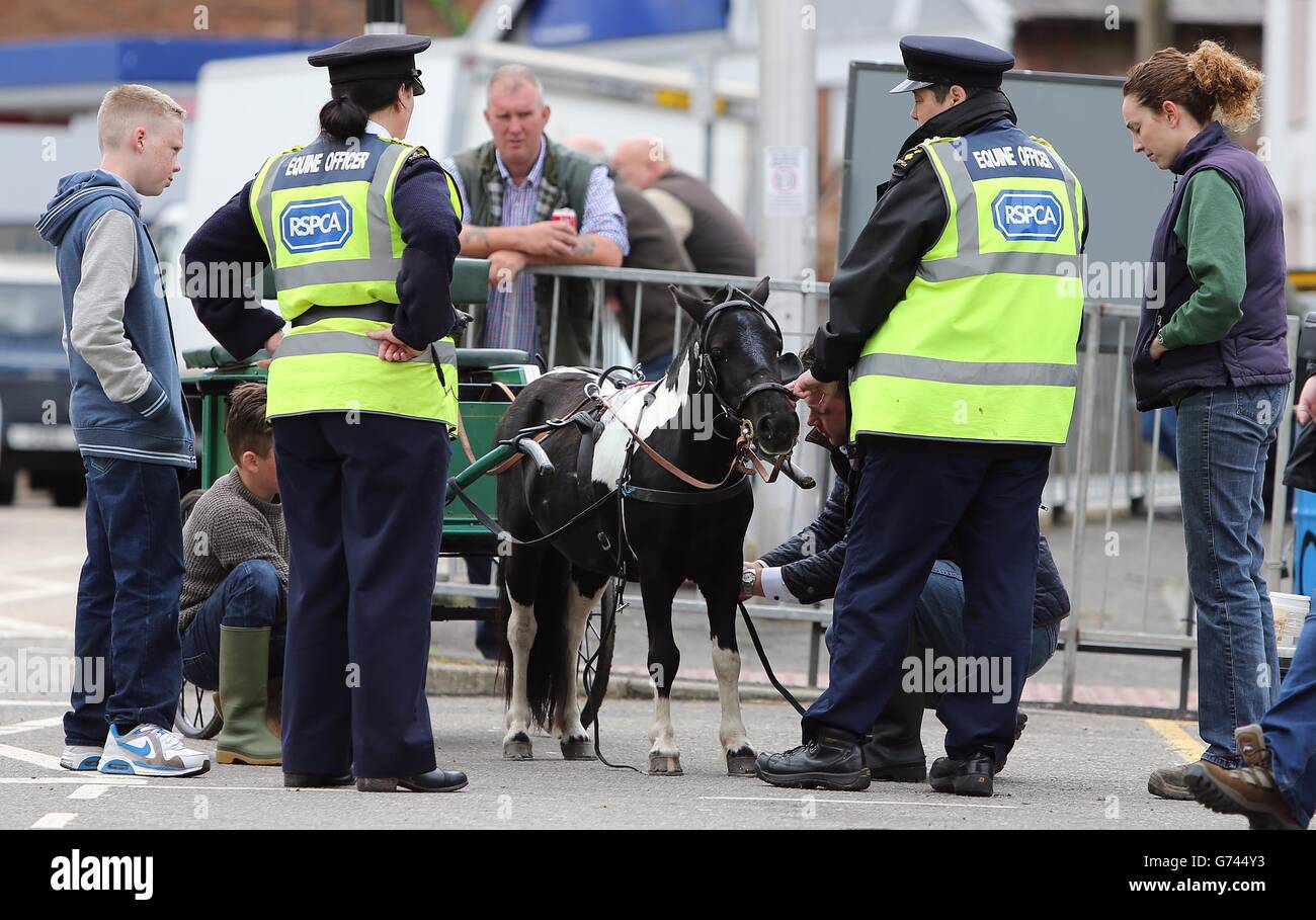 Ufficiali equini RSPCA durante l'Appleby Horse Fair, l'incontro annuale di zingari e viaggiatori ad Appleby, Cumbria. Foto Stock