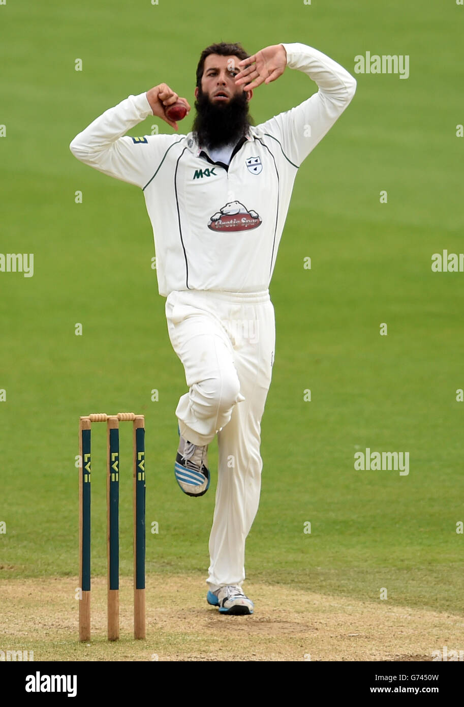 Cricket - Liverpool Victoria County Championship - Divisione di due - tre giorni - Surrey v Worcestershire - Kia ovale Foto Stock