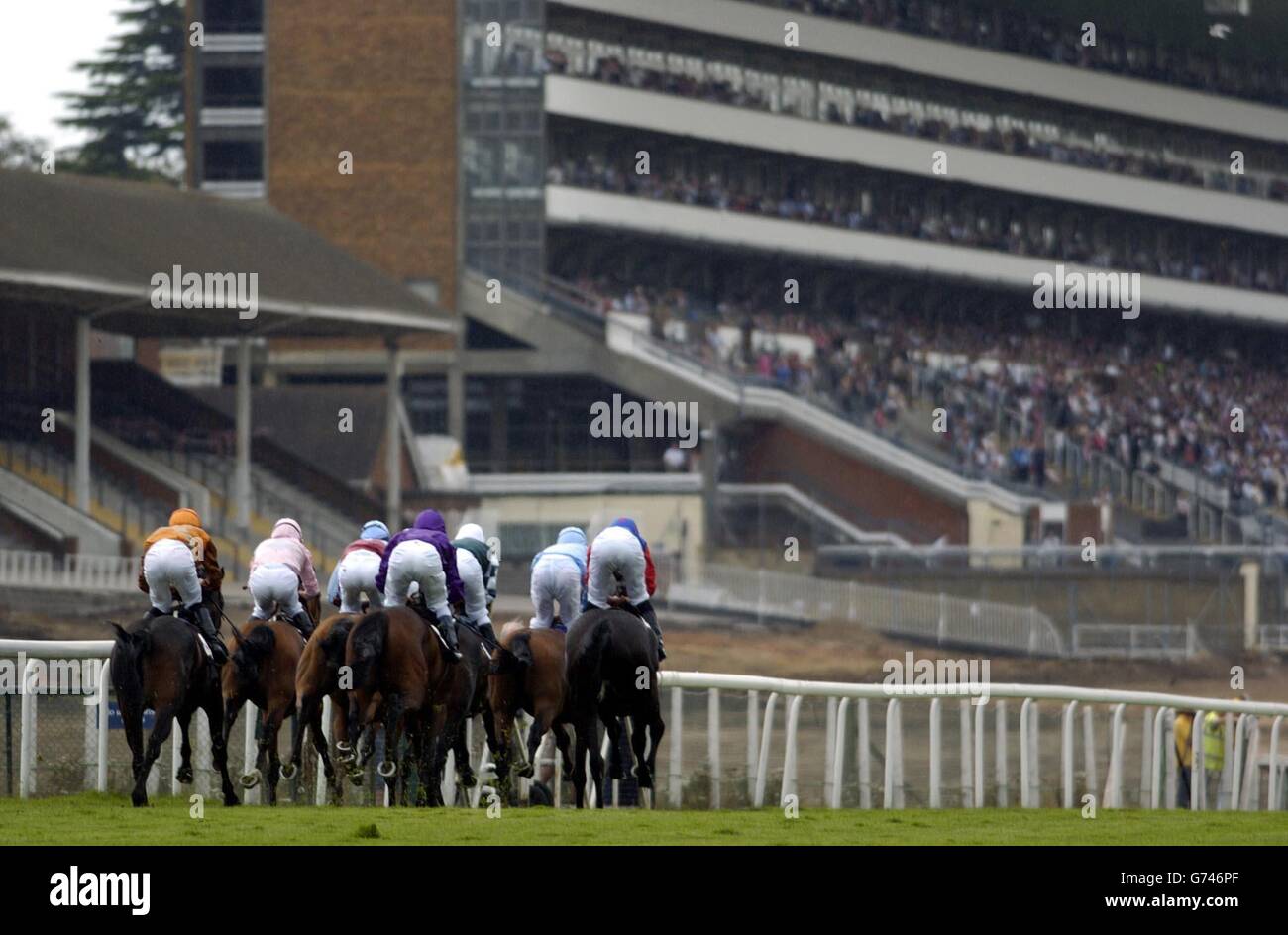 I corridori e i piloti del Trofeo Hong Kong International sale Auction Stakes corrono l'ultima gara mai effettuata sul rettilineo prima della riqualificazione alle gare di Ascot. Foto Stock