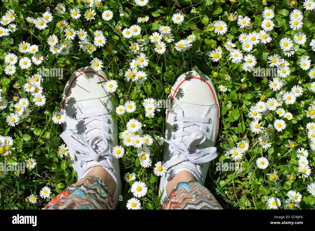 Sneakers bianco in un campo dasiy. donna camminare sull'erba Foto Stock