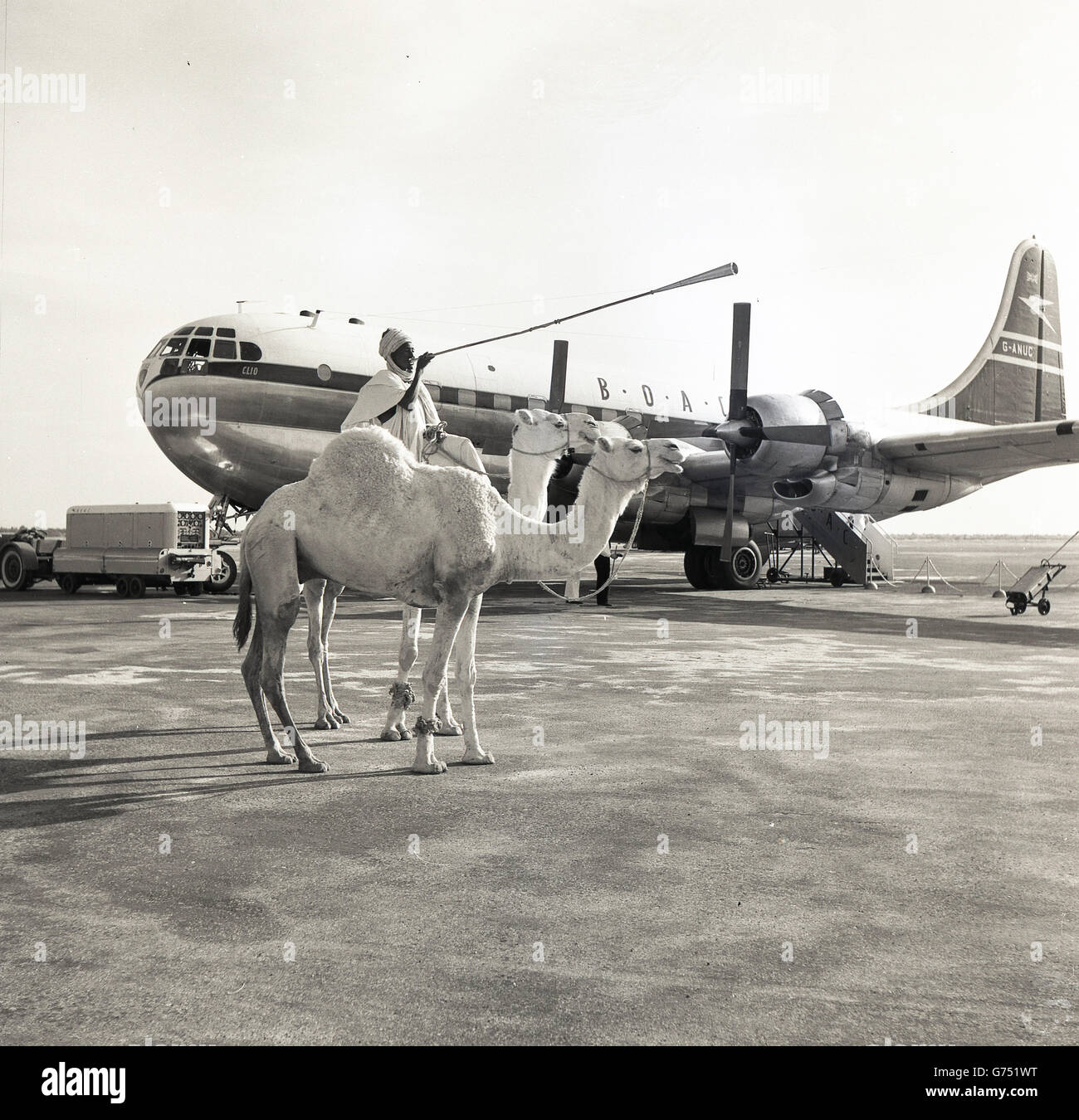 1955, storico nativo maschio africana sul cammello utilizza il clacson per annunciare l'arrivo di "Clio" un Boeing 377 BOAC G-ANUC stratocruiser aeromobili. Foto Stock