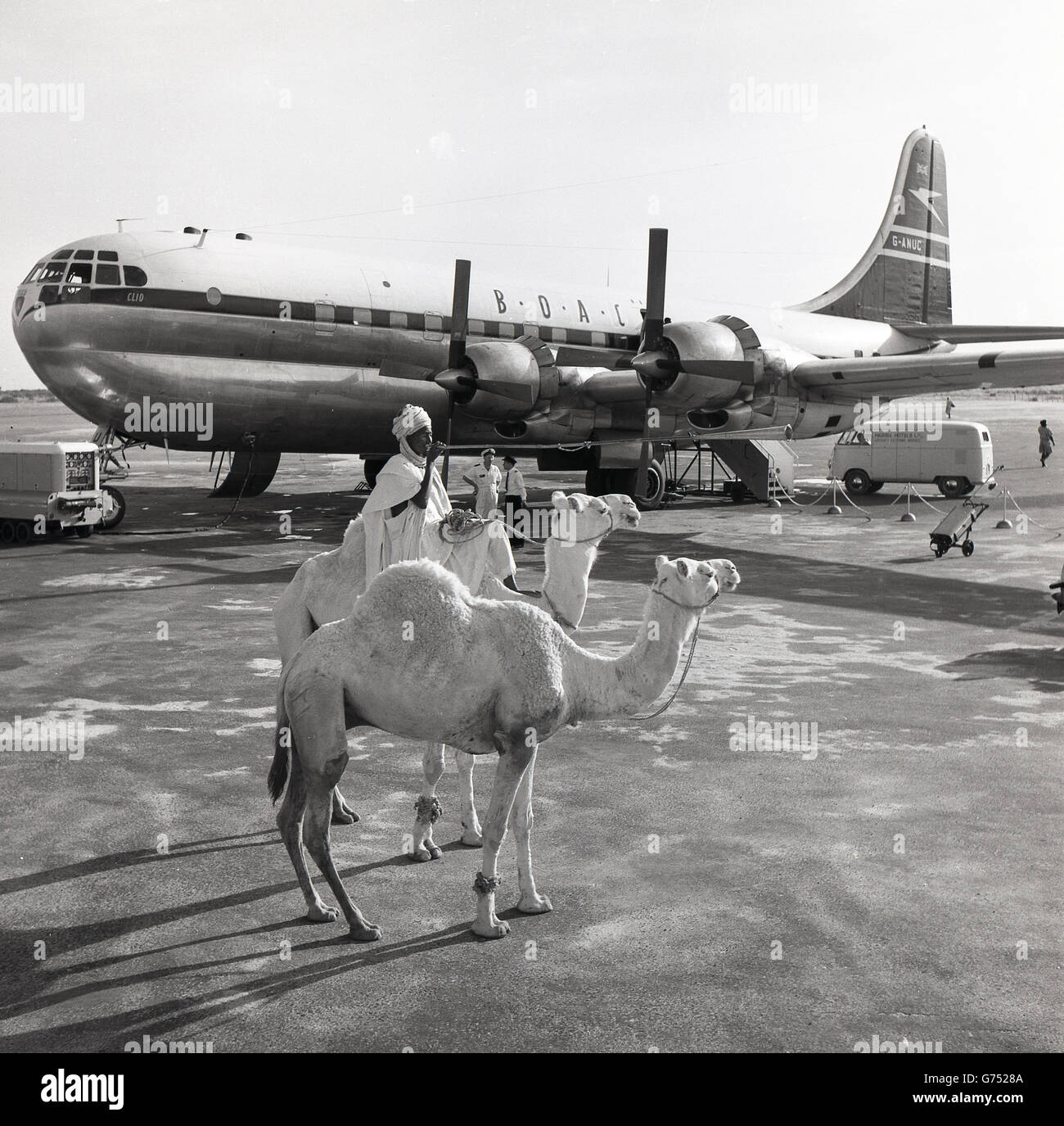 1955, storico nativo maschio africana sul cammello utilizza il clacson per annunciare l'arrivo di "Clio" un Boeing 377 BOAC G-ANUC stratocruiser aeromobili. Foto Stock