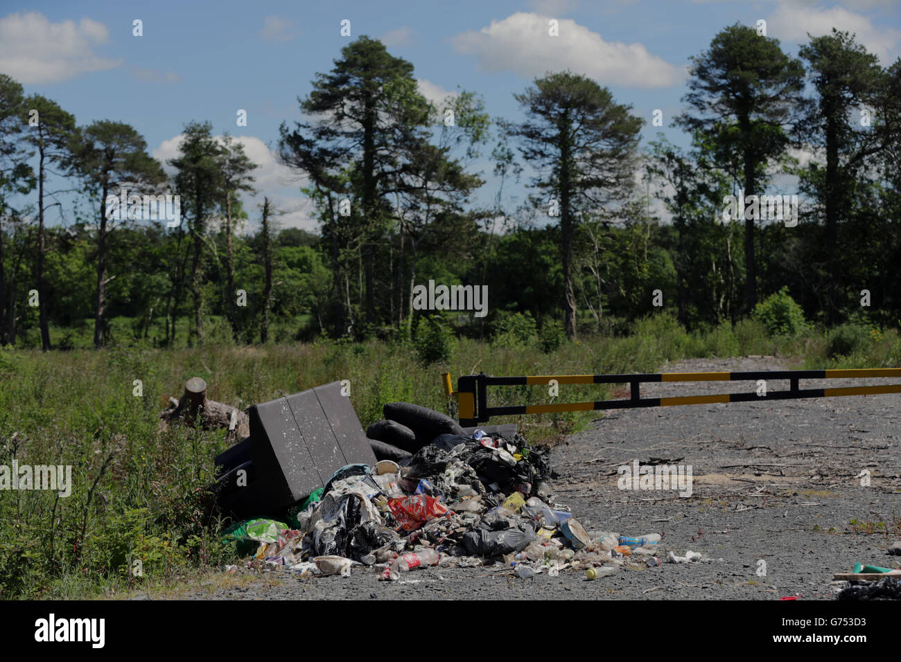 Spazzatura che è stato fly-Topped al lato della strada nella contea di Laoisr. Foto Stock