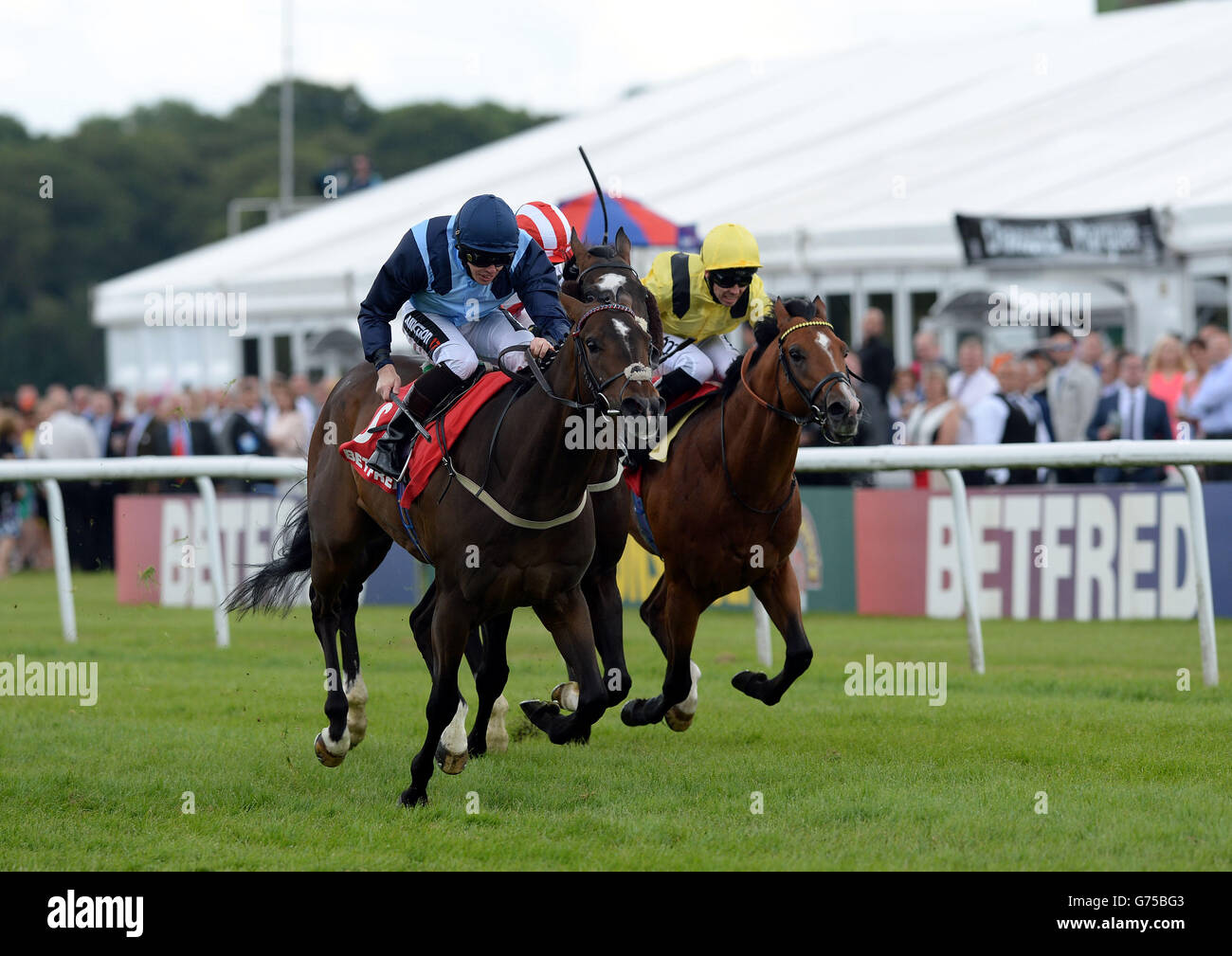 Horse Racing - La piastra di Northumberland Festival - John Smith piastra Northumberland giorno - Newcastle Racecourse Foto Stock