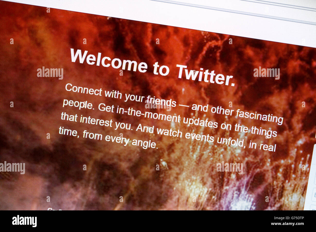 Twitter del sito web sullo schermo di un computer. Foto Stock