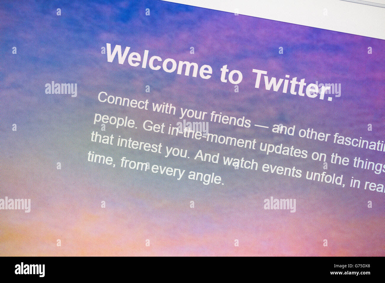 Twitter del sito web sullo schermo di un computer. Foto Stock