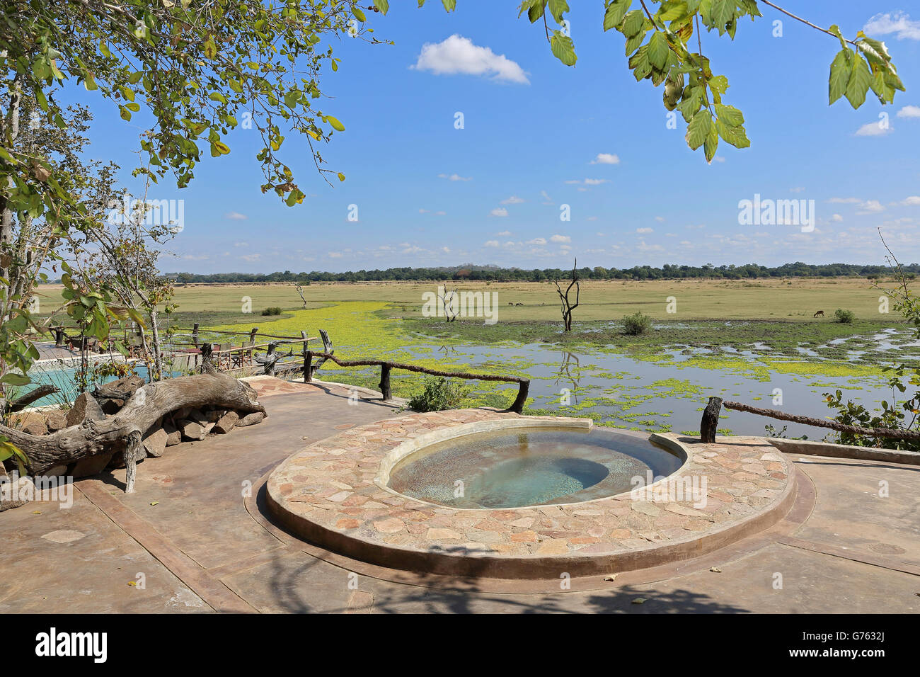 Piscina, vista della savana africana, Kafunta River Lodge, South Luangwa NP, Zambia, Africa Foto Stock