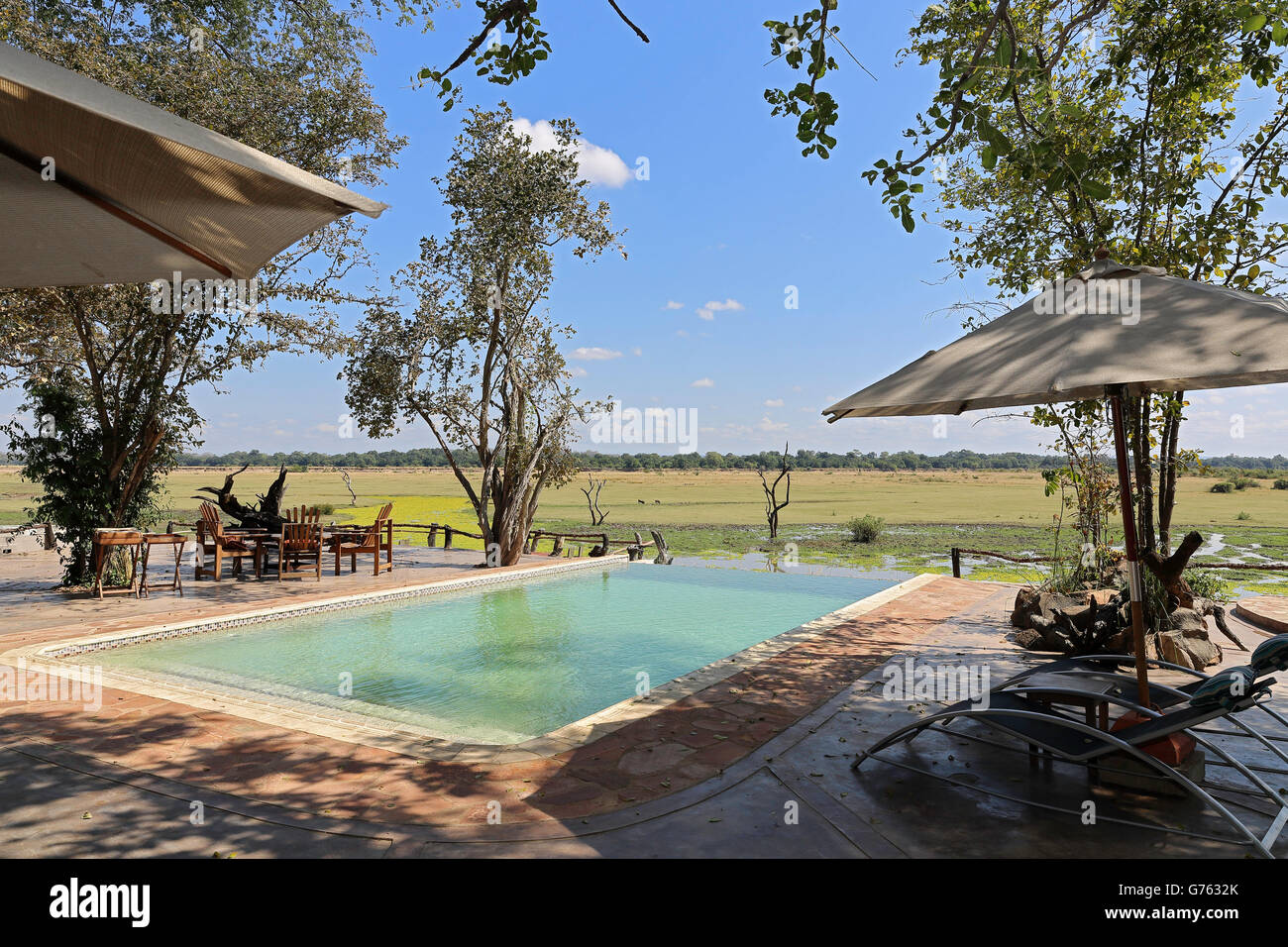 Piscina, vista della savana africana, Kafunta River Lodge, South Luangwa NP, Zambia, Africa Foto Stock