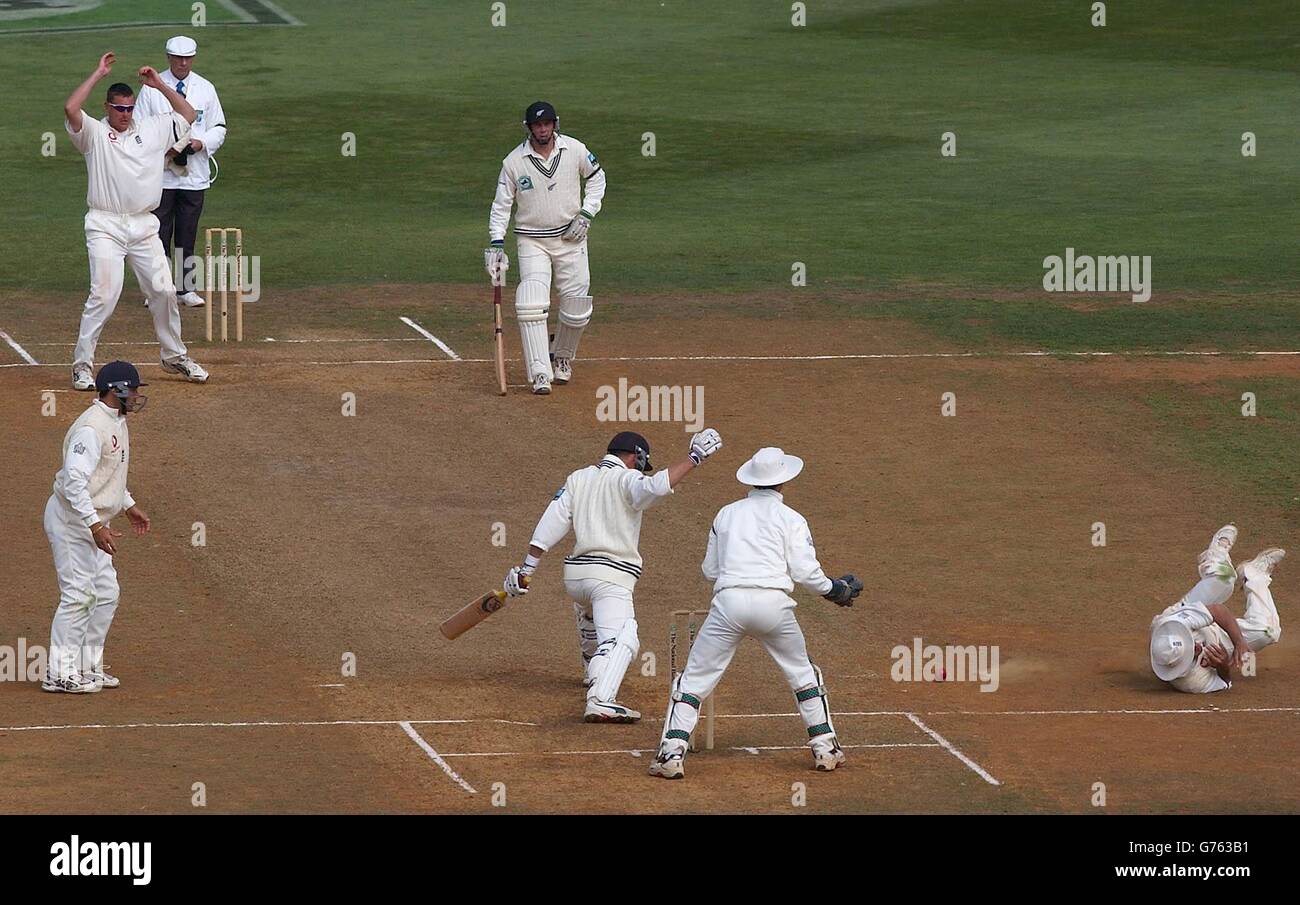 Mark Butcher (a destra) in Inghilterra si trova sul pavimento dopo aver lasciato cadere ciò che pensava fosse una cattura da Lou Vincent della Nuova Zelanda durante l'ultimo giorno della seconda partita di prova a Basin Reserve, Wellington. La partita si è conclusa con un pareggio lasciando Inghilterra 1-0 nella serie di tre partite. Foto Stock