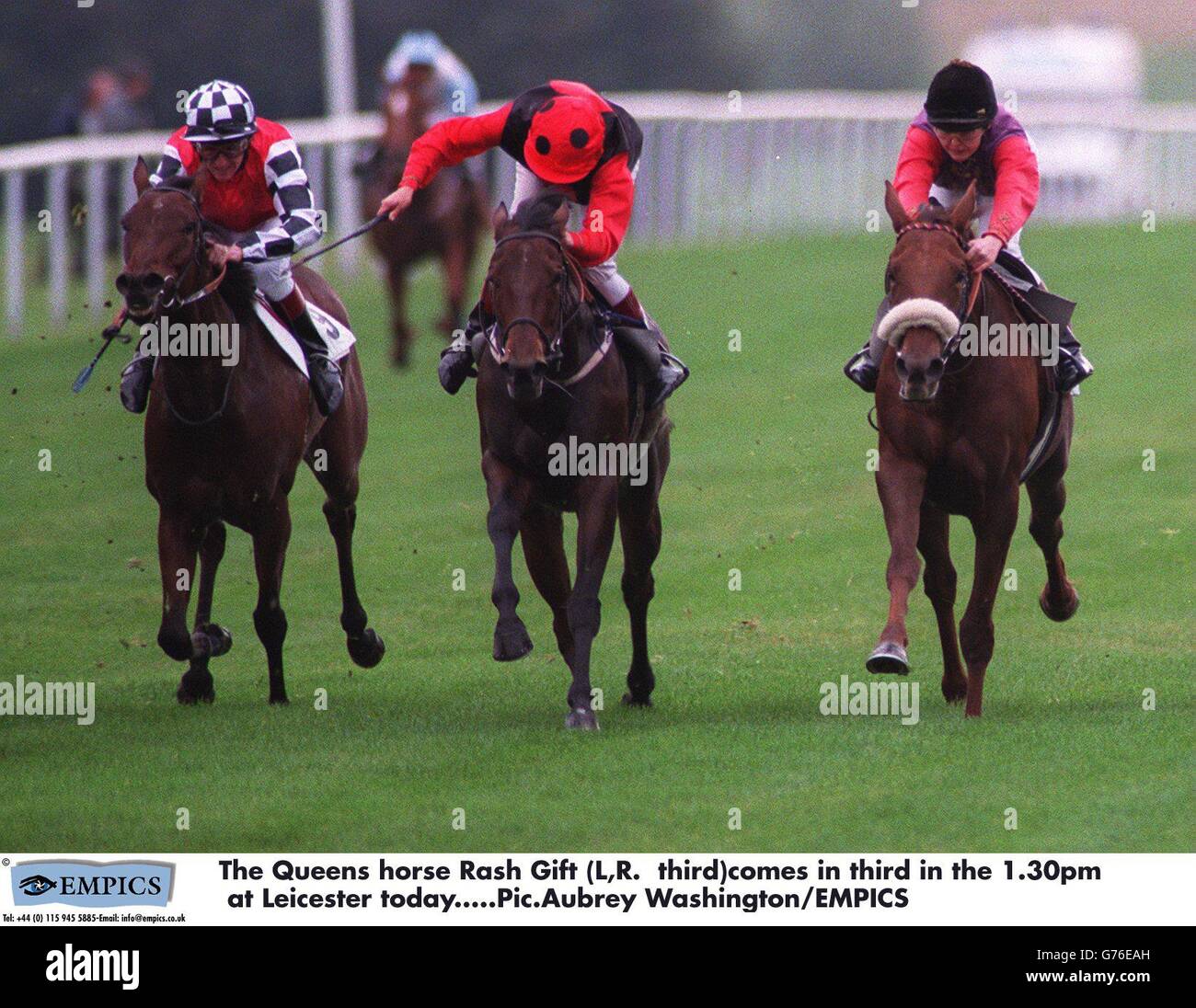 Il Queens Horse eruzione dono (L, R. terzo) arriva in terzo nelle 13:30 a Leicester oggi Foto Stock