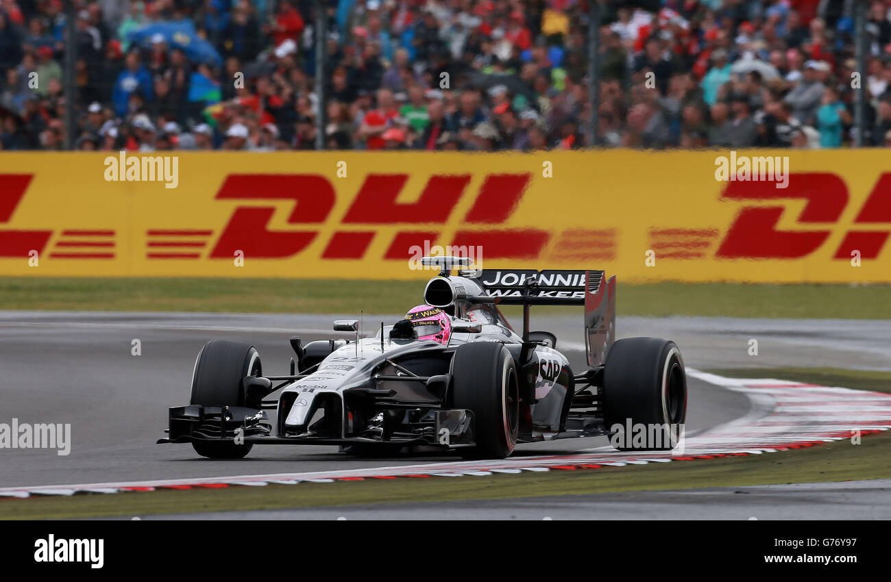 Motor Racing - Campionato del Mondo di Formula Uno - 2014 British Grand Prix - Pratica 3 e Qualifiche - Circuito di Silverstone Foto Stock