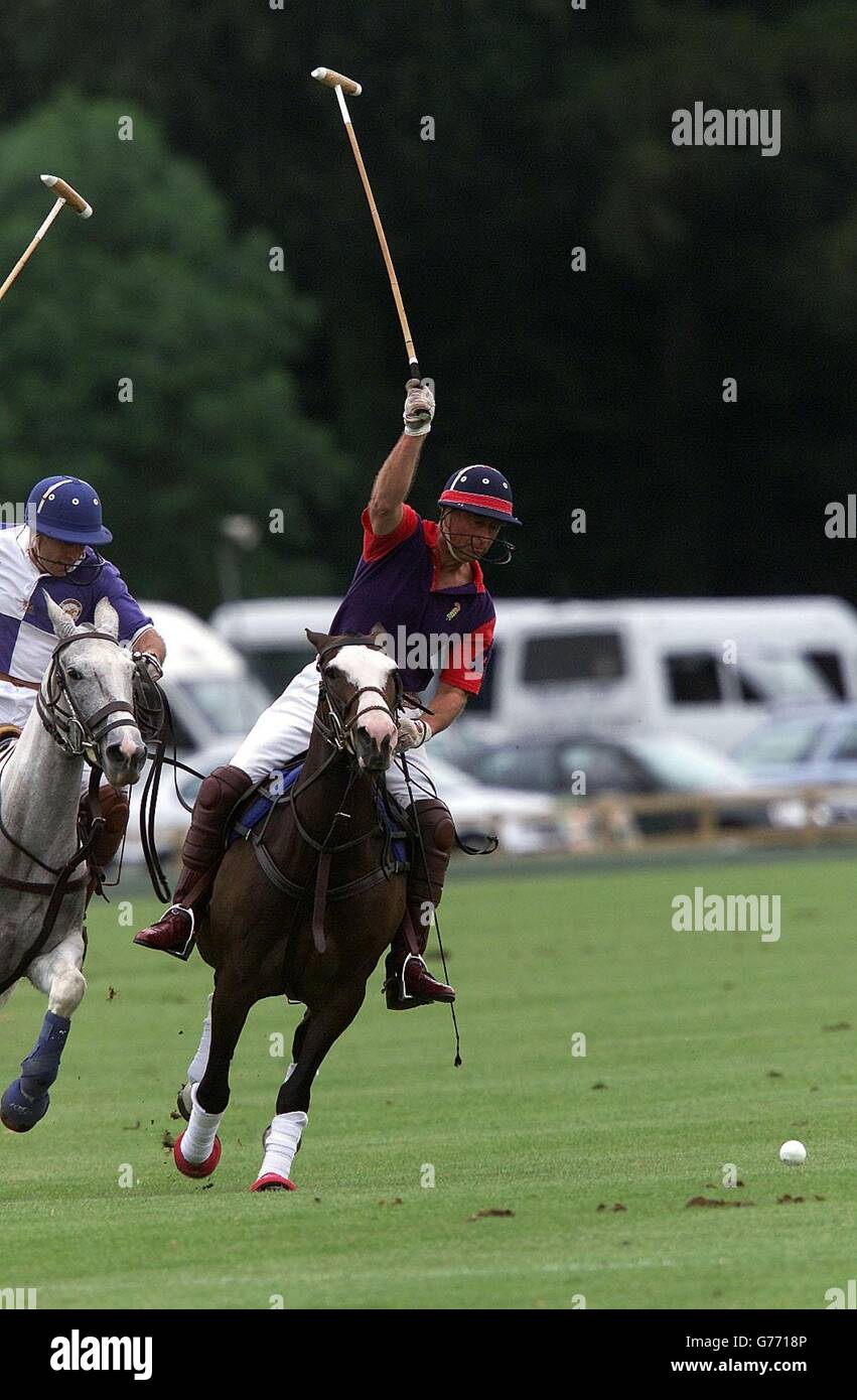 Il Principe di Galles polo Foto Stock