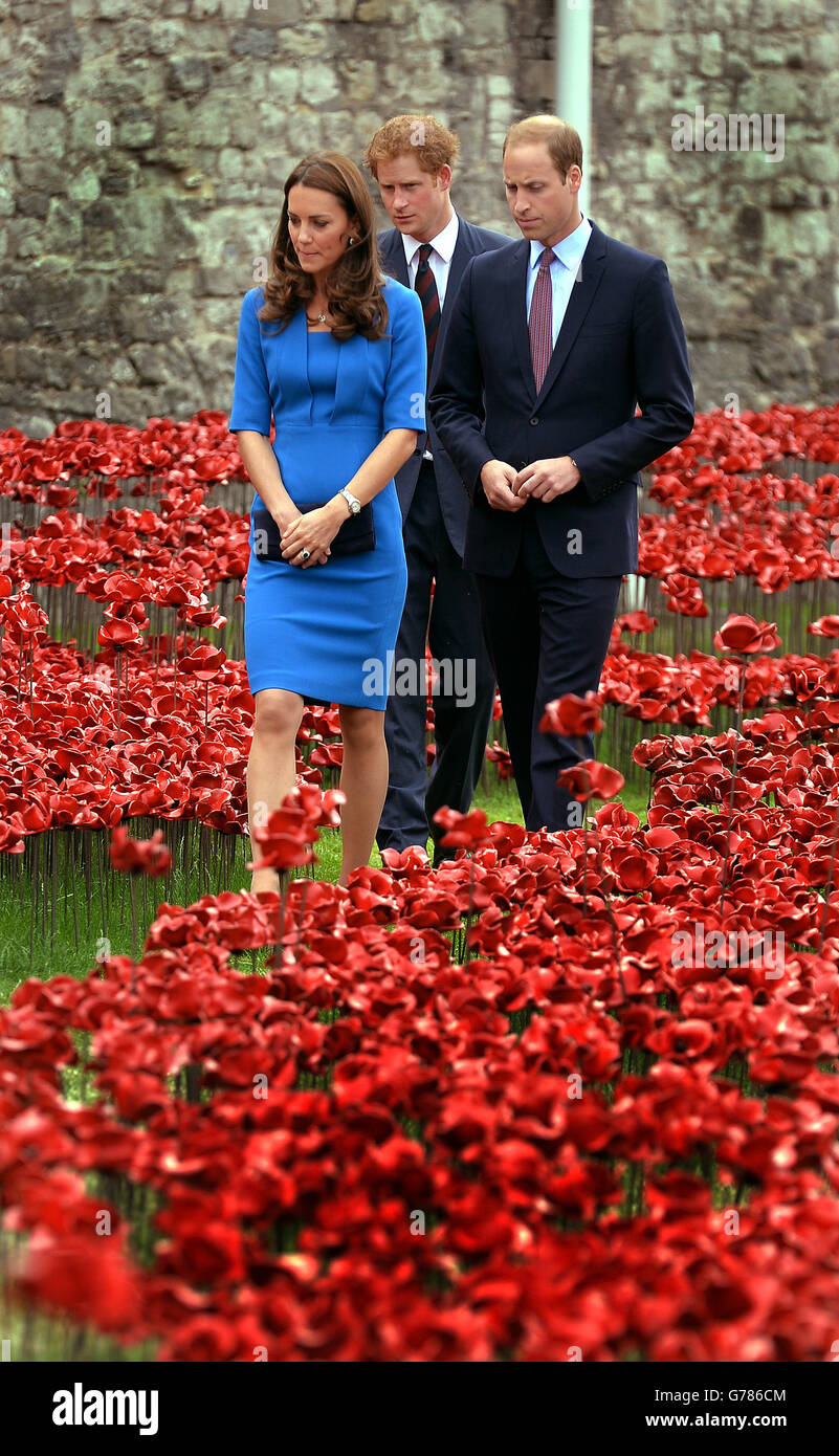 Il Duca e la Duchessa di Cambridge accompagnati dal Principe Harry, ammira l'installazione del papavero della Torre di Londra "Terre spazzate dal sangue e mari di rosso", che commemorava il 100° anniversario dello scoppio della prima guerra mondiale. Foto Stock