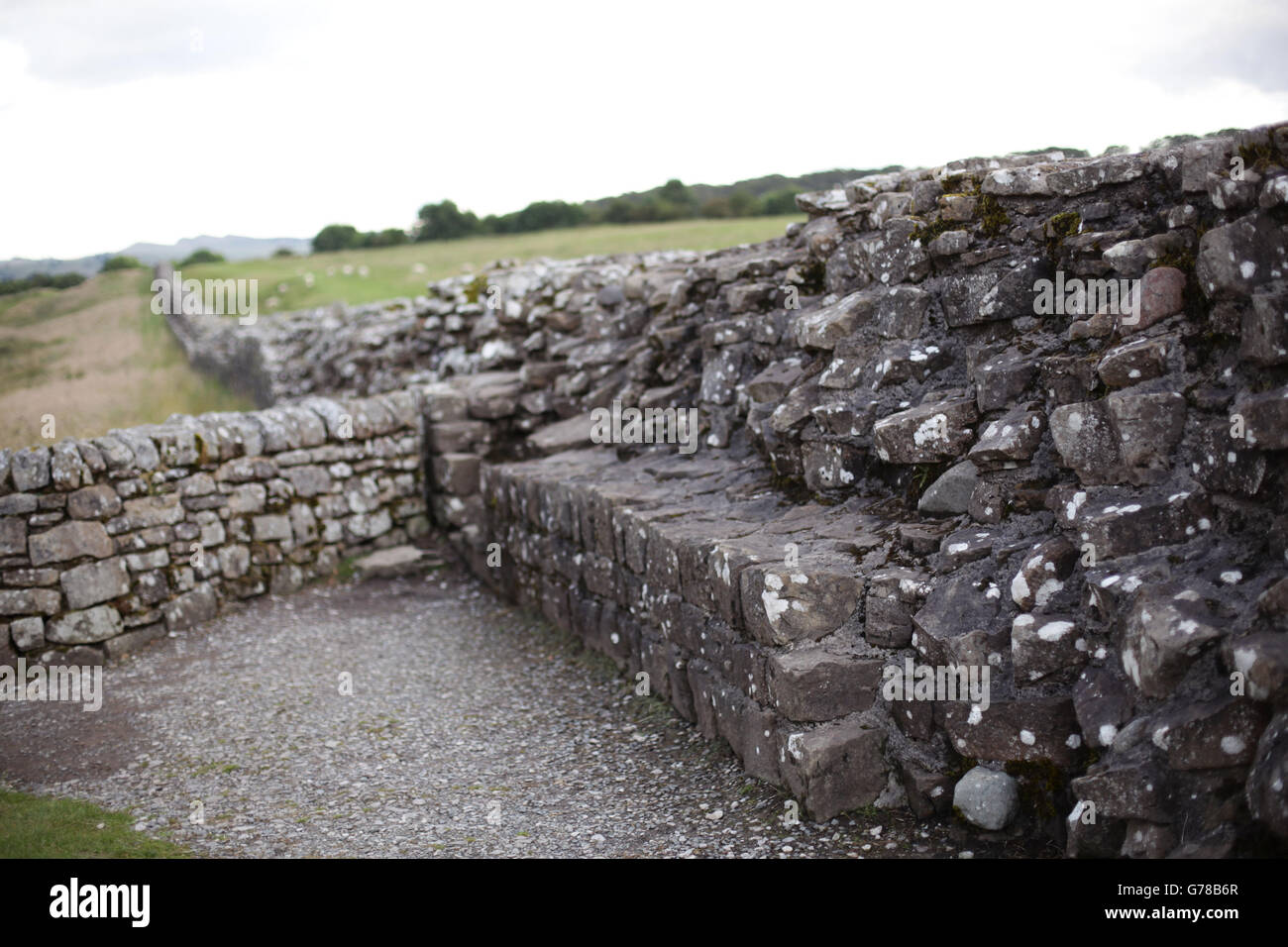 Una sezione del Muro di Adriano vicino al Forte romano di Birdoswald in Cumbria. PREMERE ASSOCIAZIONE foto. Data immagine: Mercoledì 16 luglio 2014. Il credito fotografico dovrebbe essere: Filo Yui Mok/PA Foto Stock