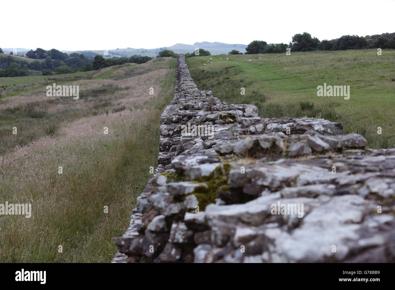 Una sezione del Muro di Adriano vicino al Forte romano di Birdoswald in Cumbria. PREMERE ASSOCIAZIONE foto. Data immagine: Mercoledì 16 luglio 2014. Il credito fotografico dovrebbe essere: Filo Yui Mok/PA Foto Stock