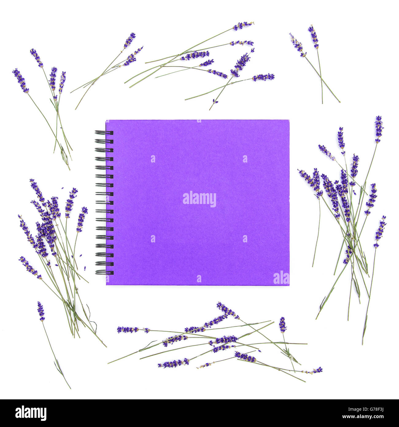 Fiori di lavanda e vuoto album di foto per la copertina del libro. Cornice floreale di piante essiccate. Piatto sullo sfondo dei laici Foto Stock