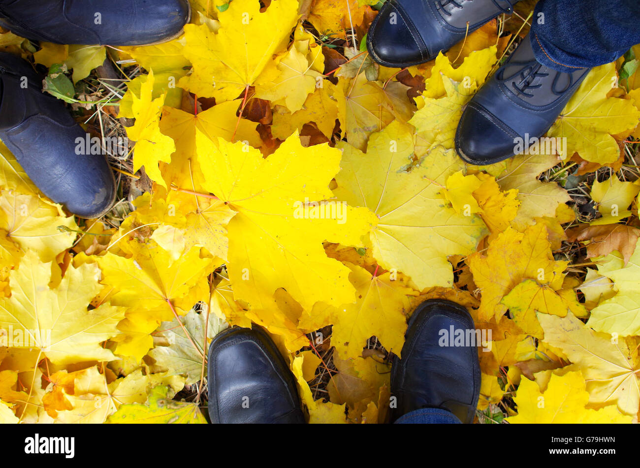Vista in pianta di un piede in autunno stivali tre persone in piedi sul prato coperto con giallo caduto foglie d'acero Foto Stock