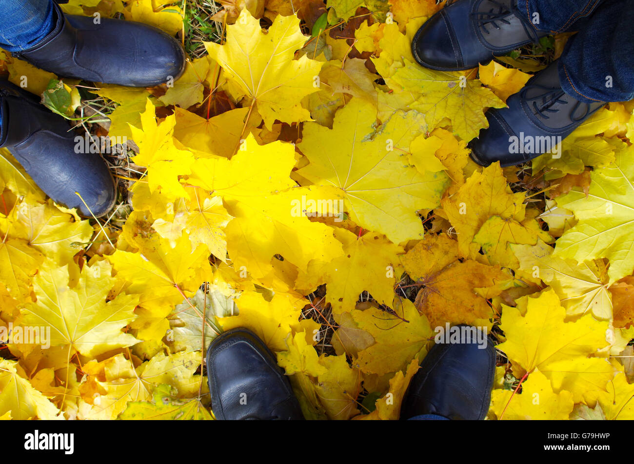 Vista in pianta di un piede in autunno stivali famiglia di tre persone che stanno sul prato coperto con giallo caduto foglie d'acero Foto Stock