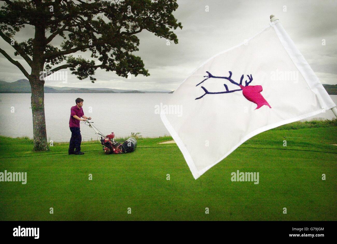 Il Green Keeper Ian Craig taglia l'erba sulla sesta buca del Loch Lomond Golf Club vicino a Balloch in preparazione del campionato scozzese Open Golf che inizia il giovedì. Foto Stock