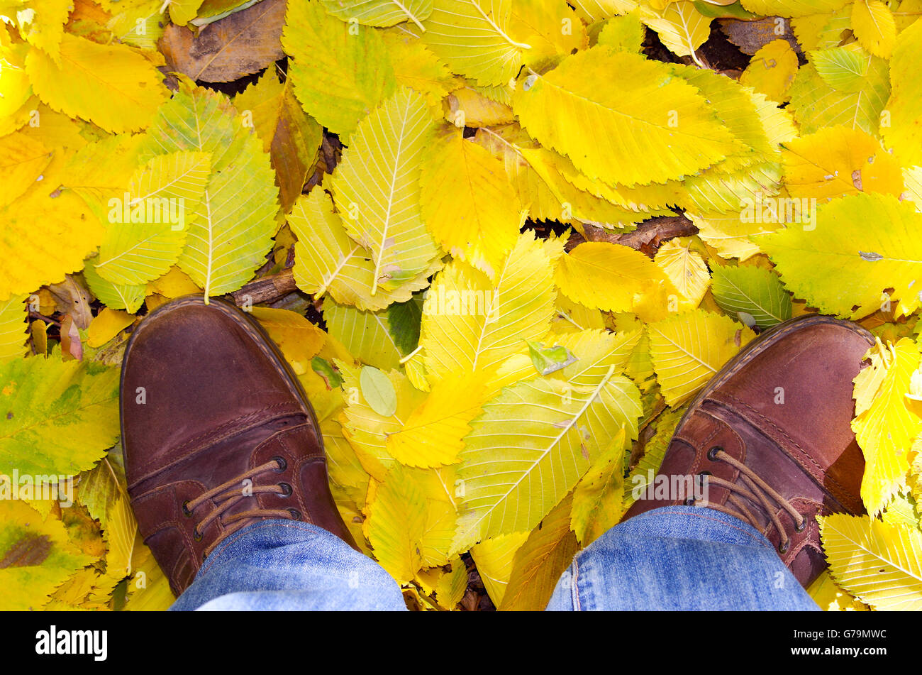Vista dall'alto di un uomo è in piedi in scarpe, che si erge in autunno prato coperto con giallo caduta foglie linden. Foto Stock
