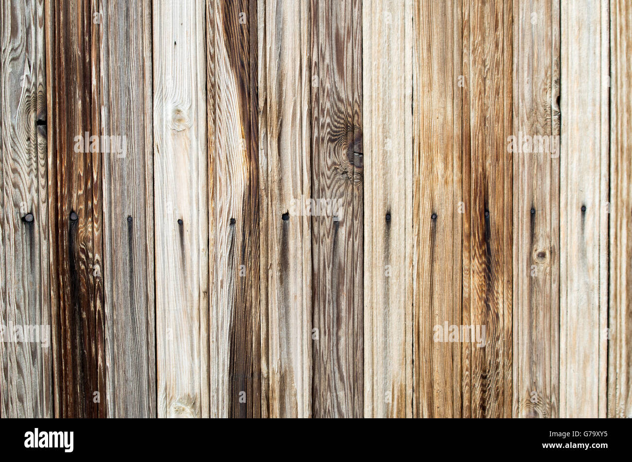 Sfondo vivace di assi di legno con legno naturale closeup texture per utilizzarla come sfondo Foto Stock