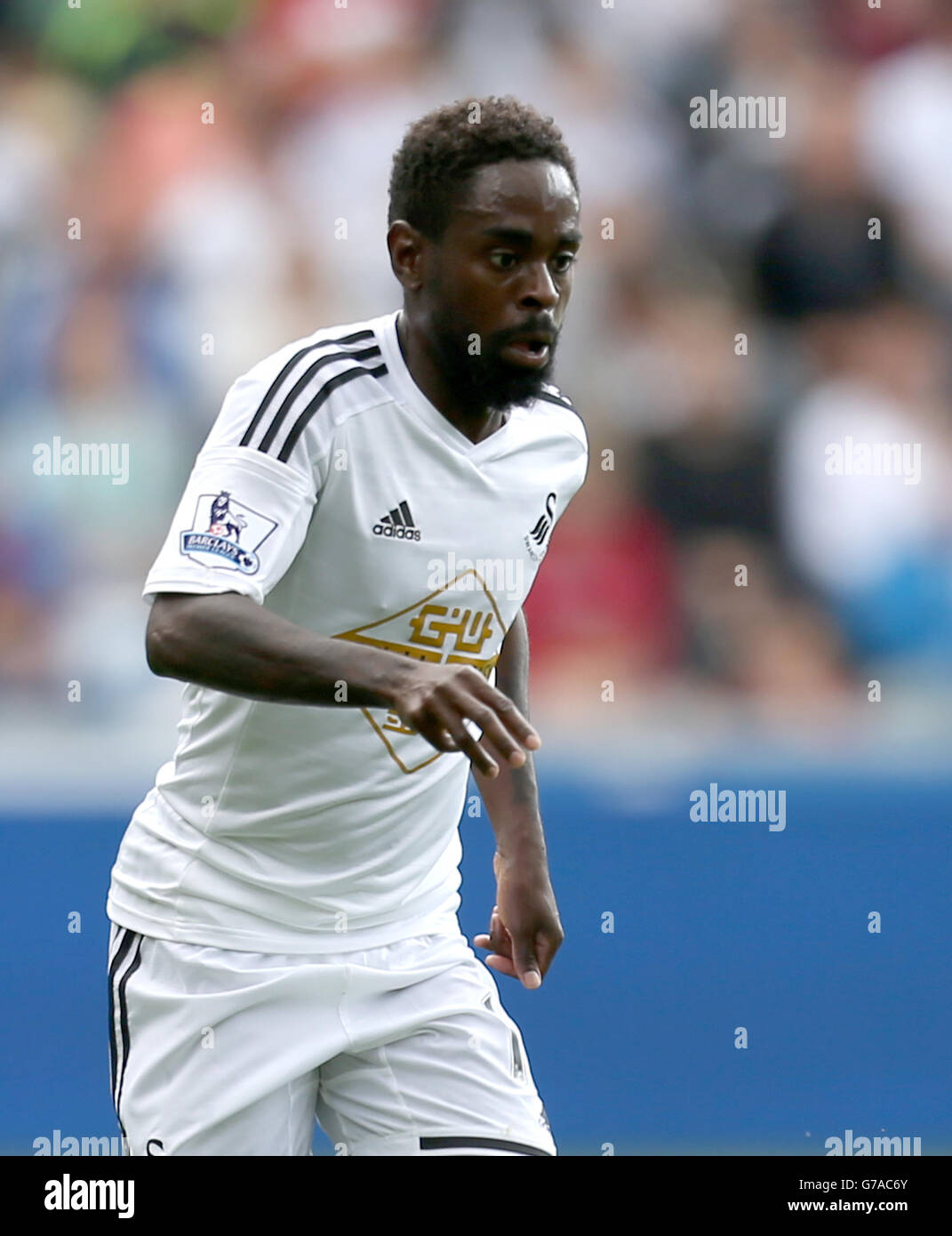 Calcio - Barclays Premier League - Swansea City v Burnley - Liberty Stadium. Nathan Dyer, Swansea City Foto Stock